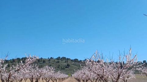 Terreno regadío para chalet en yecla, immagine 5