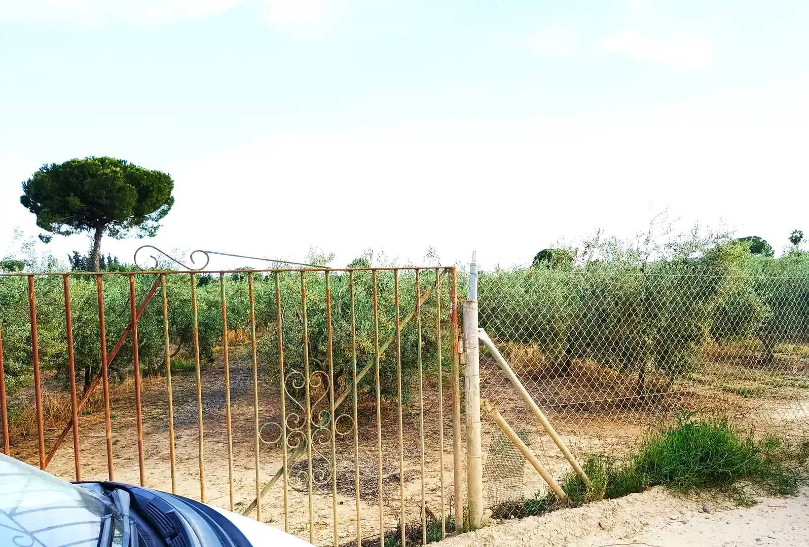 Terreni e lotti in vendita a Villanueva del Ariscal, imagen 5