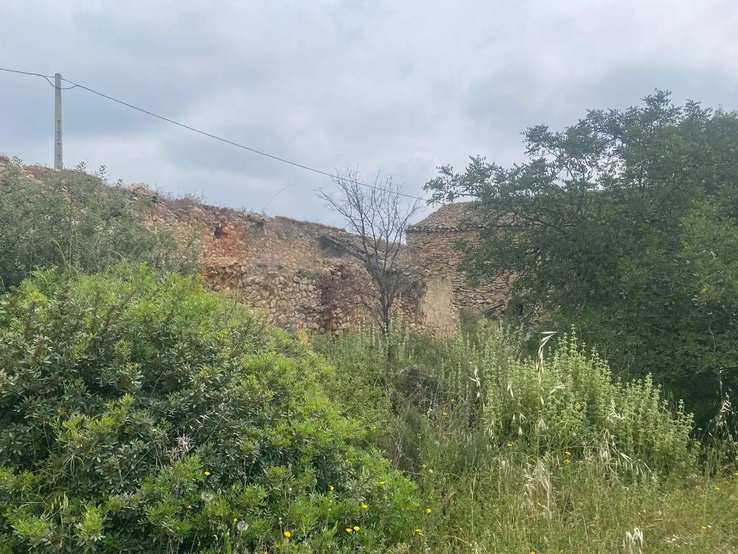 Finca rústica en venta en Enguera