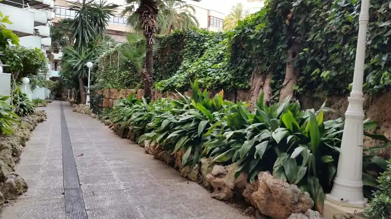 Exterior view of Apartments for rent in Ponent