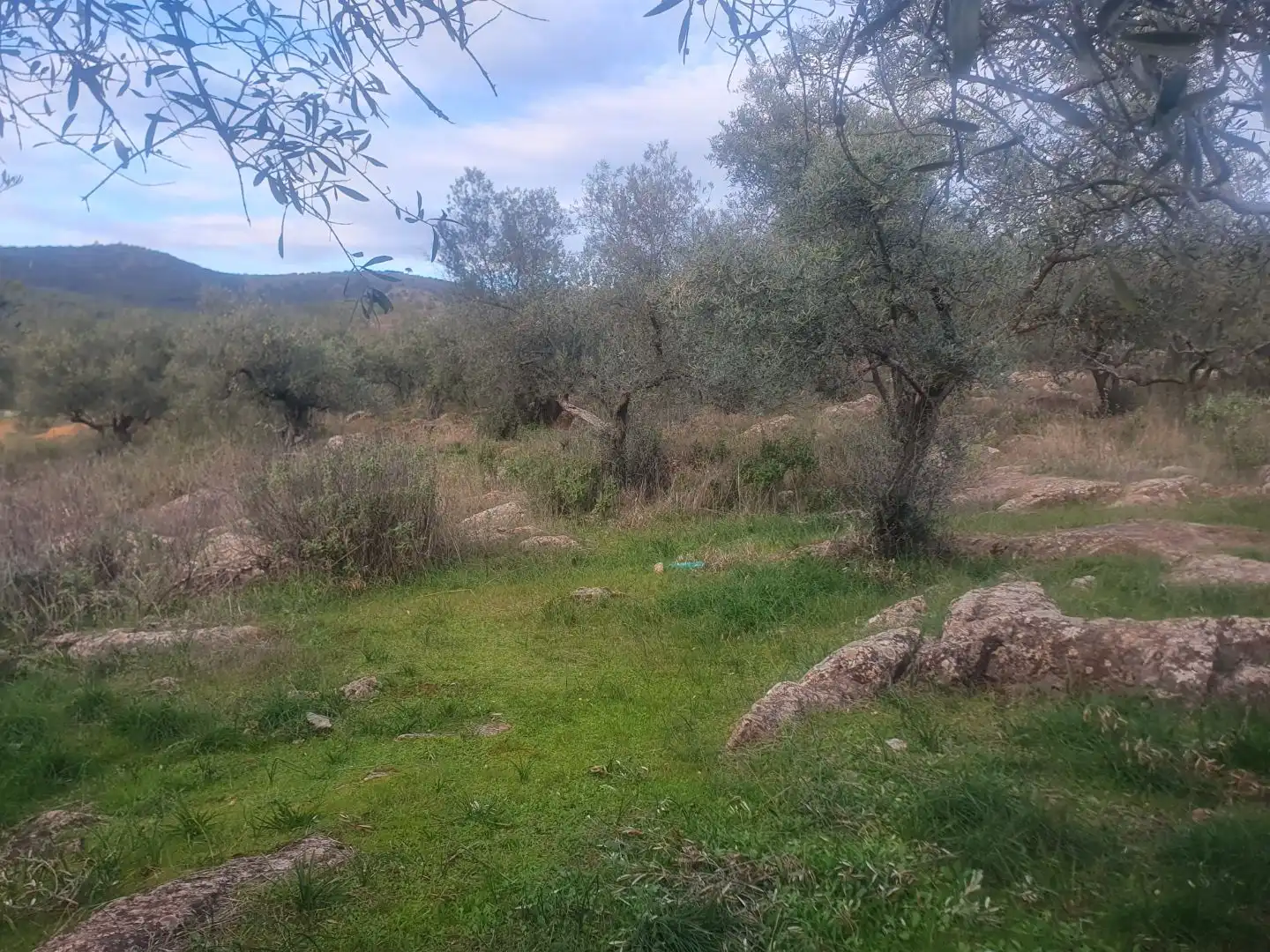 Terreno en venta en Guadalcanal