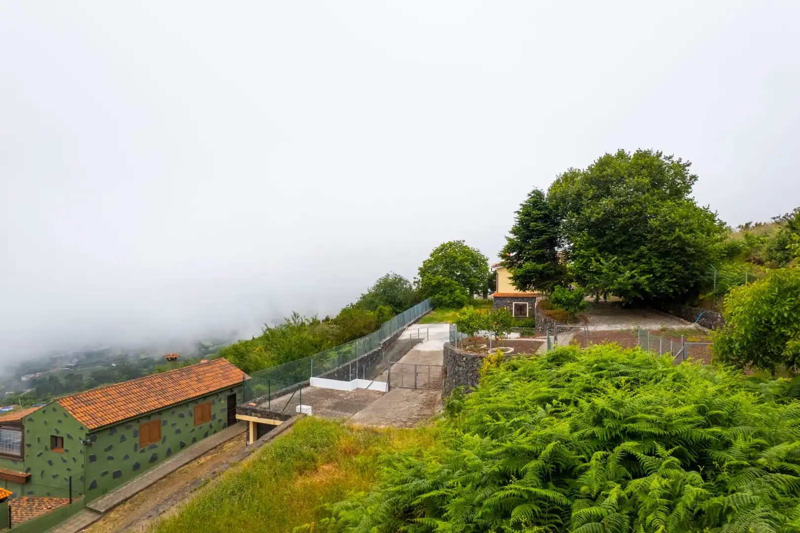Vista exterior de Casa o chalet en venta en Los Realejos con Jardín privado