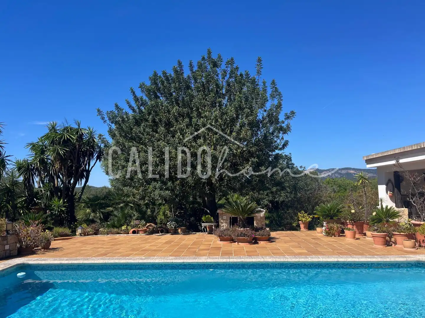 Garden of Country homes for sale in Calvià  with Air Conditioner, Heating and Private garden