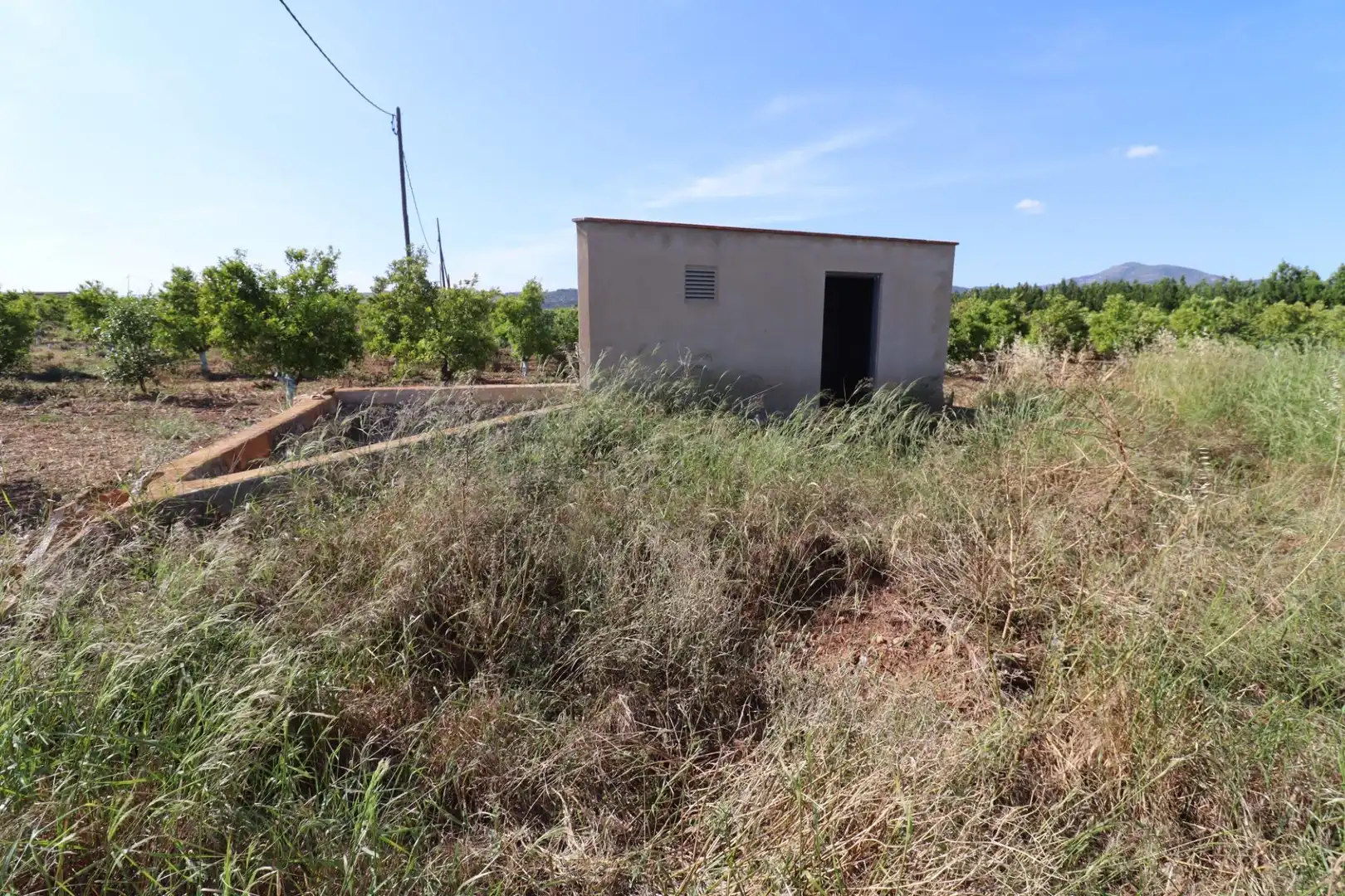 Terreno rústico en venta en Alcanar