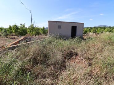 Terreno rústico en venta en Alcanar