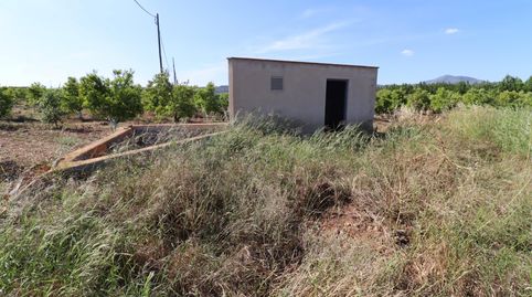 Finca yerma en la Martorella