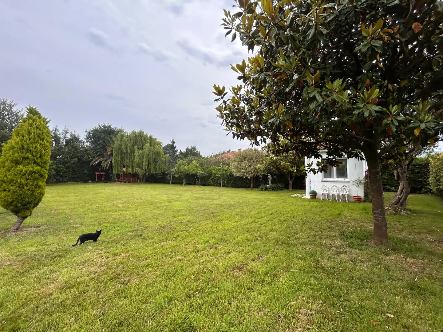 Land for sale in Gijón 