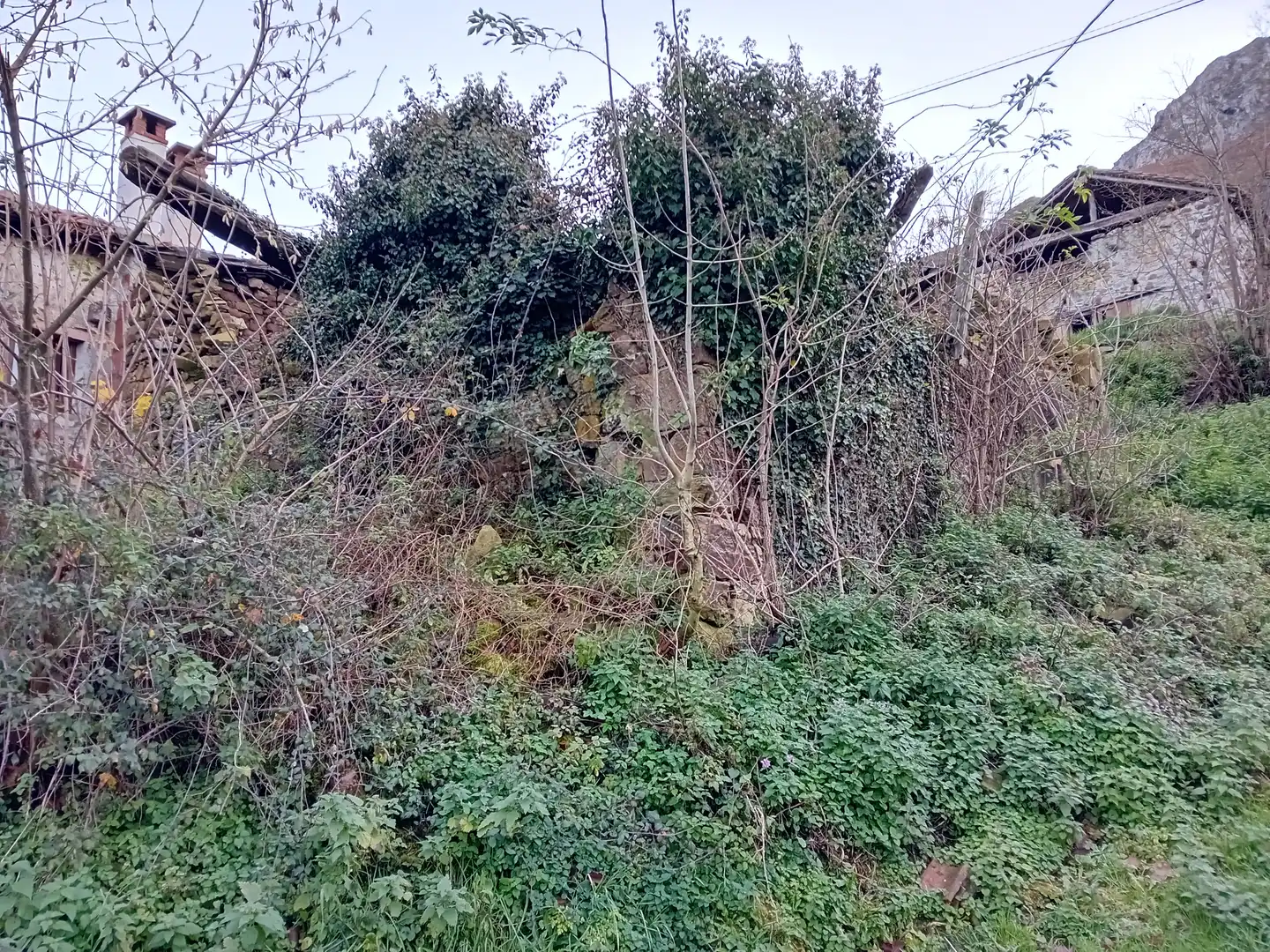 Finca rústica en venta en Amieva