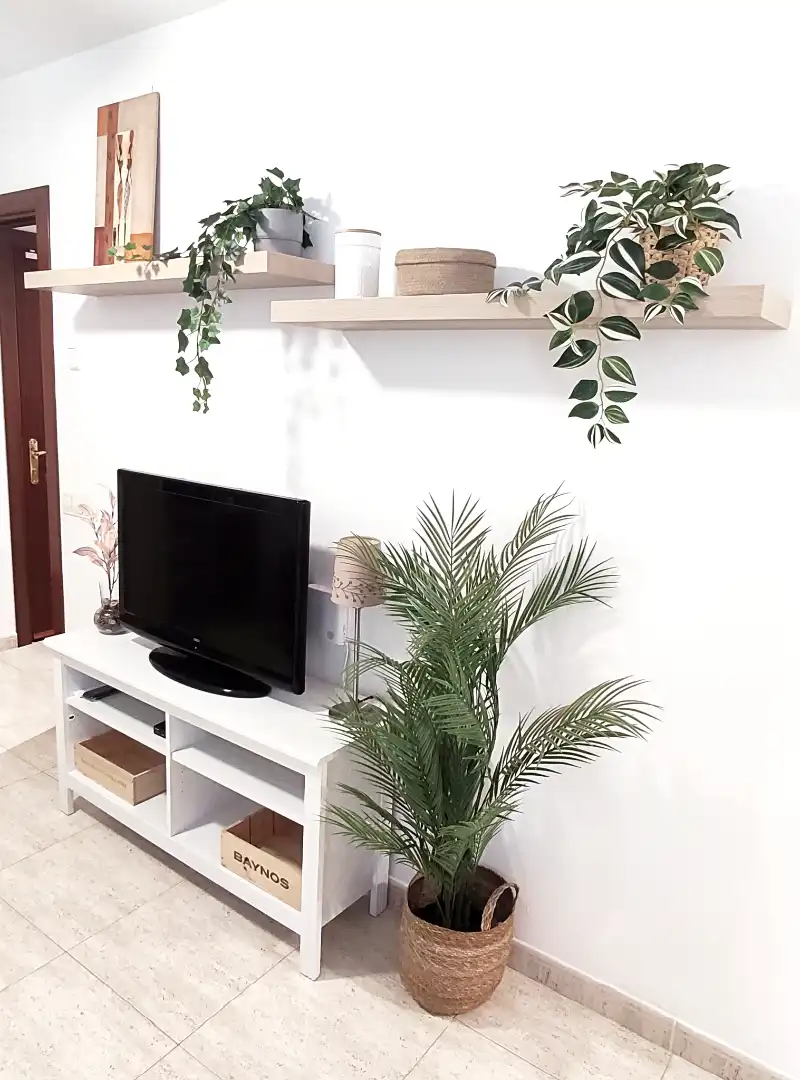Sala de estar de Piso de alquiler en Terrassa con Amueblado, Horno y Lavadora