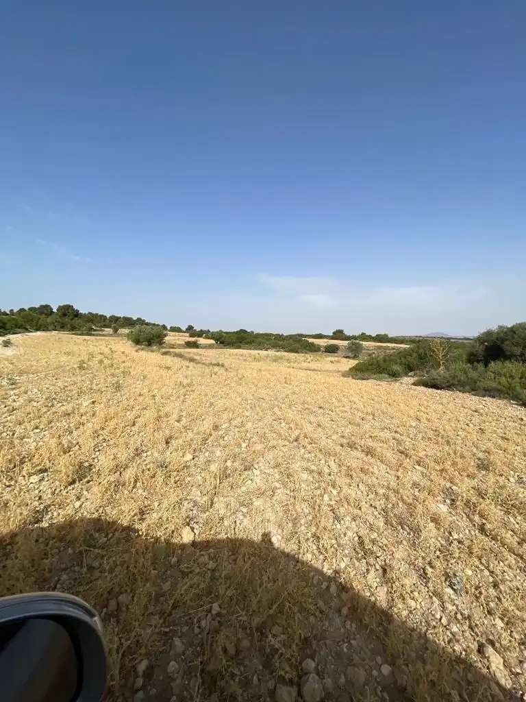 Casa rústica en venda a Almansa, imagen 31