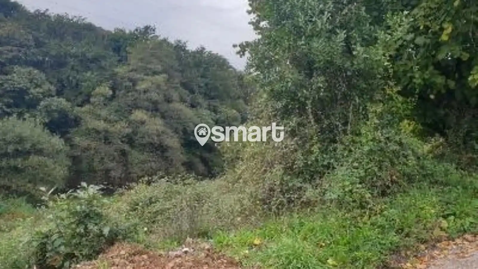 Terreno rustico in vendita a Villalegre - La Luz, imagen 7