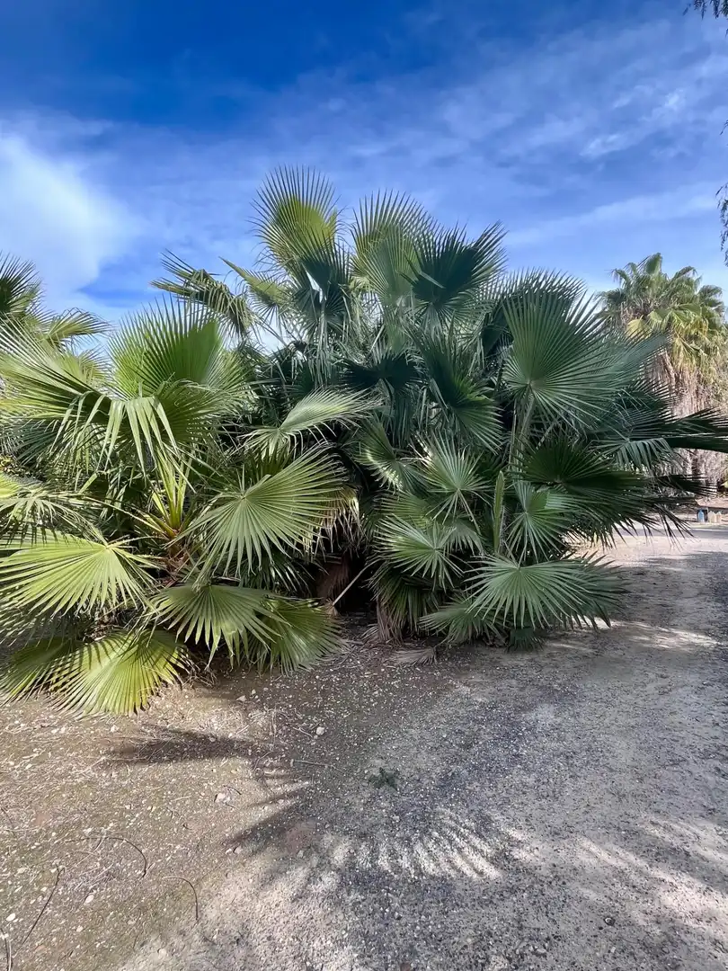Grundstücke und Bauplätze zum Verkauf in Oria, imagen 5