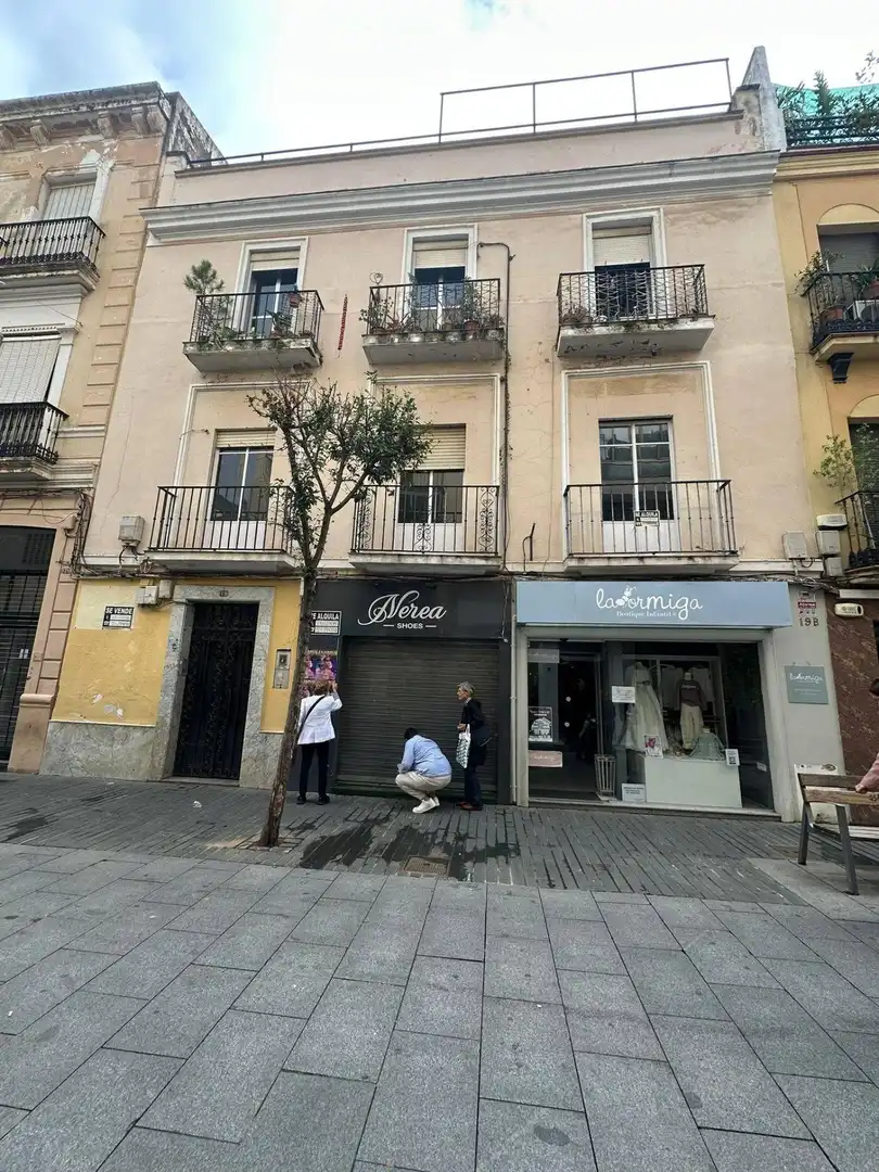 Immobles singulars en venda a Casco Antiguo