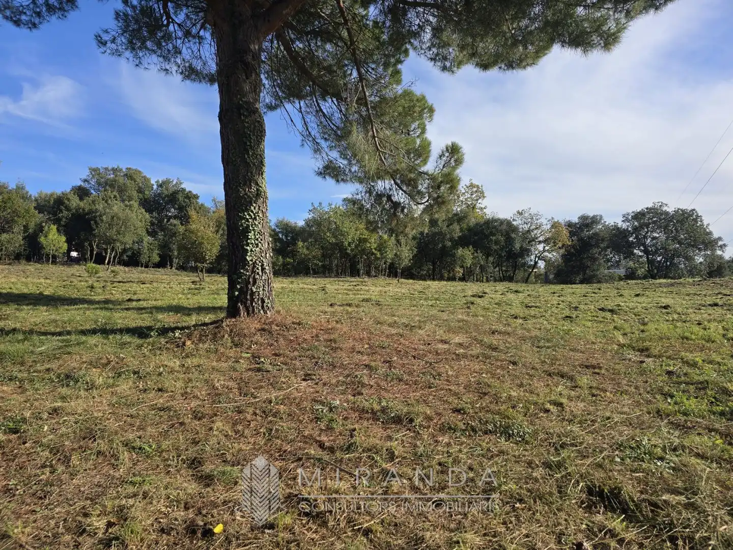Residential land for sale in Sant come, imagen 4