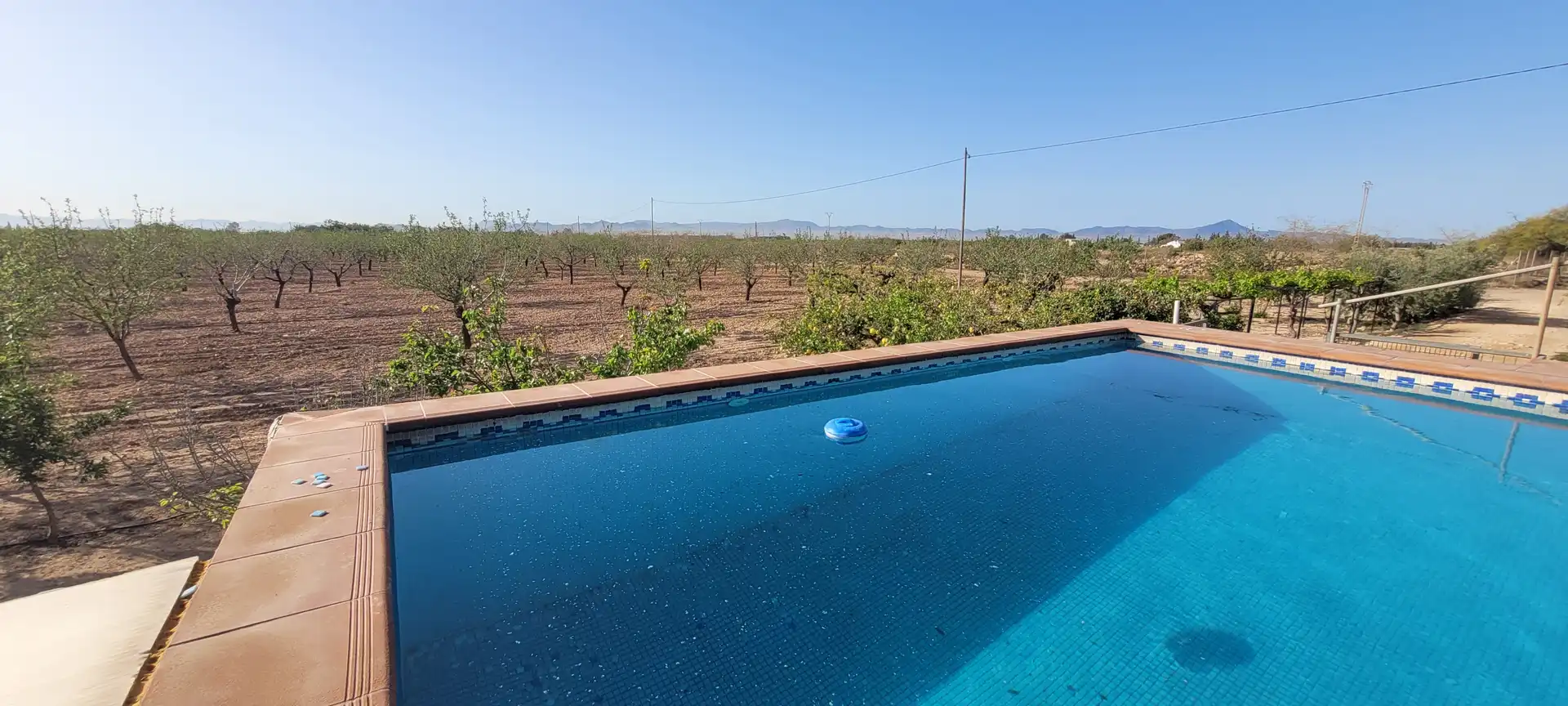 Swimming pool of Country homes for sale in Murcia  with Heating, Private garden and Terrace