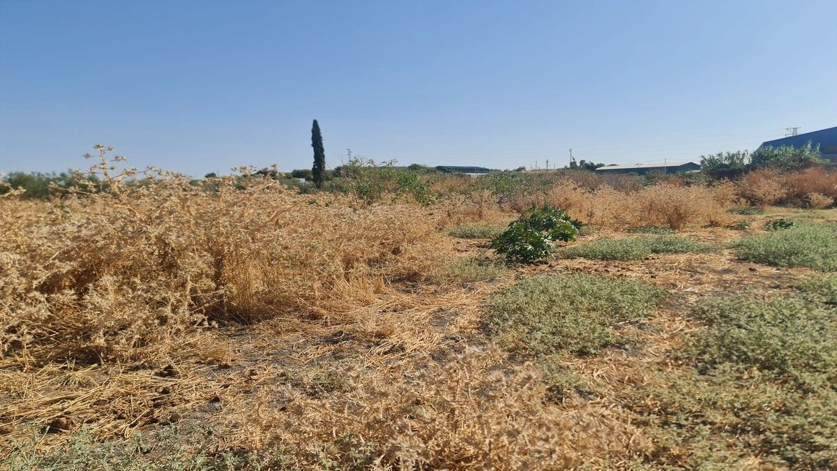 Residencial en venda en El Coronil