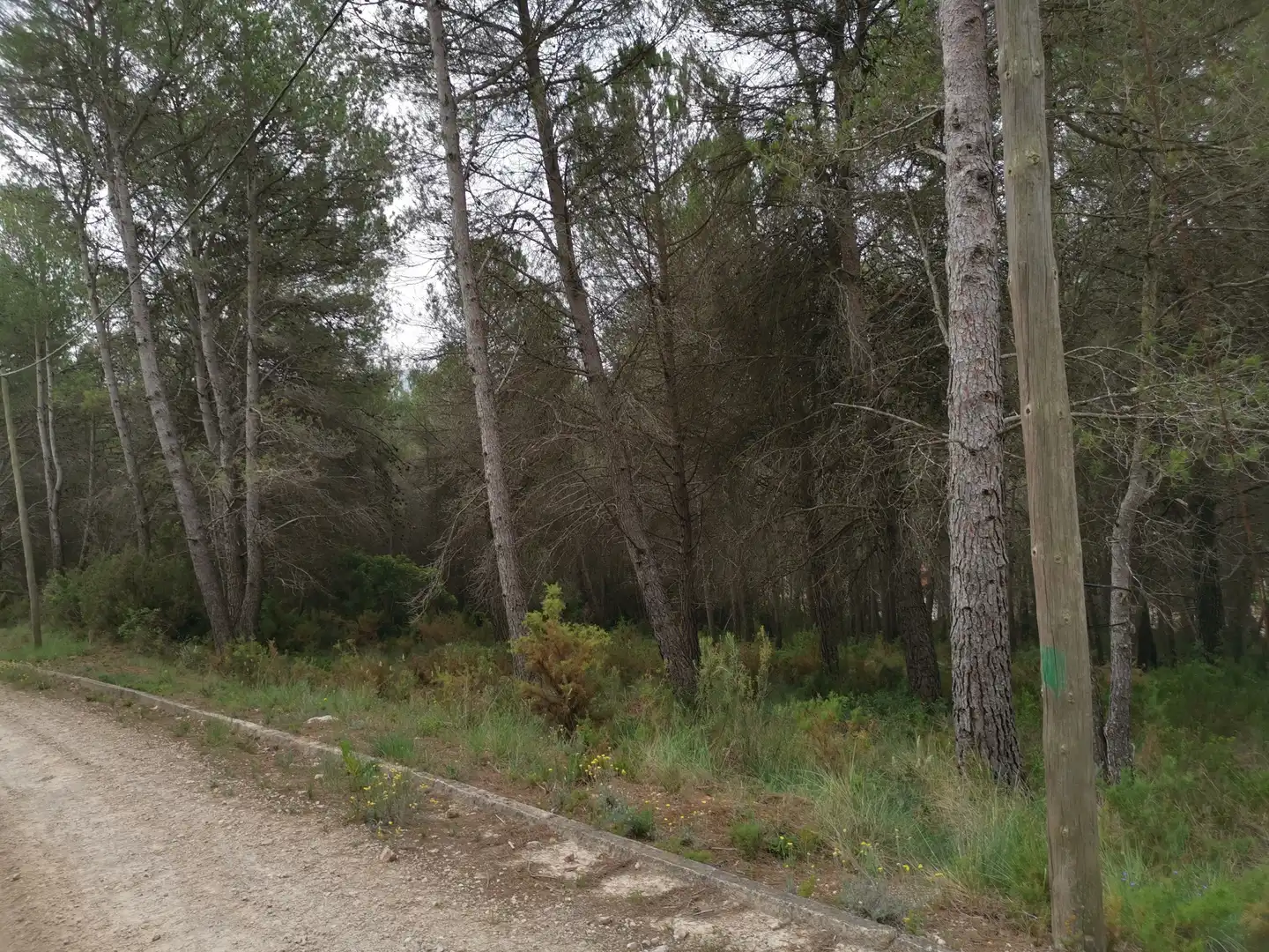 Residencial en venta en Avinguda Gaudí, 14, El Montmell