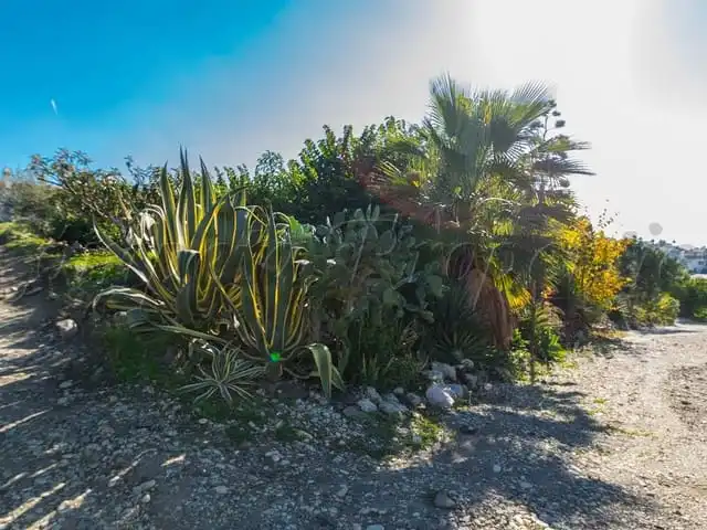 Terreni e lotti in vendita a Torrox Pueblo