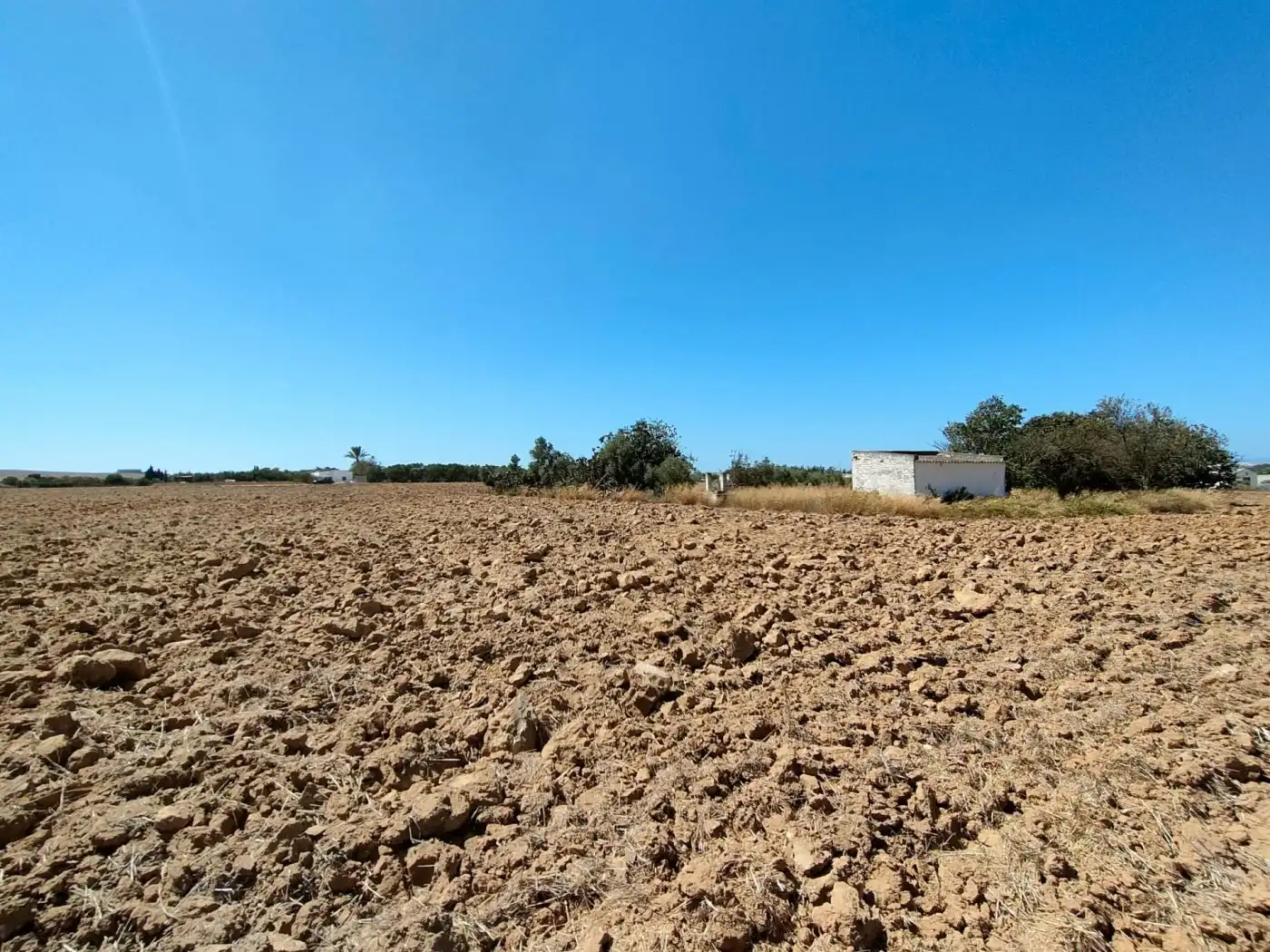 Country homes for sale in Puerto Real