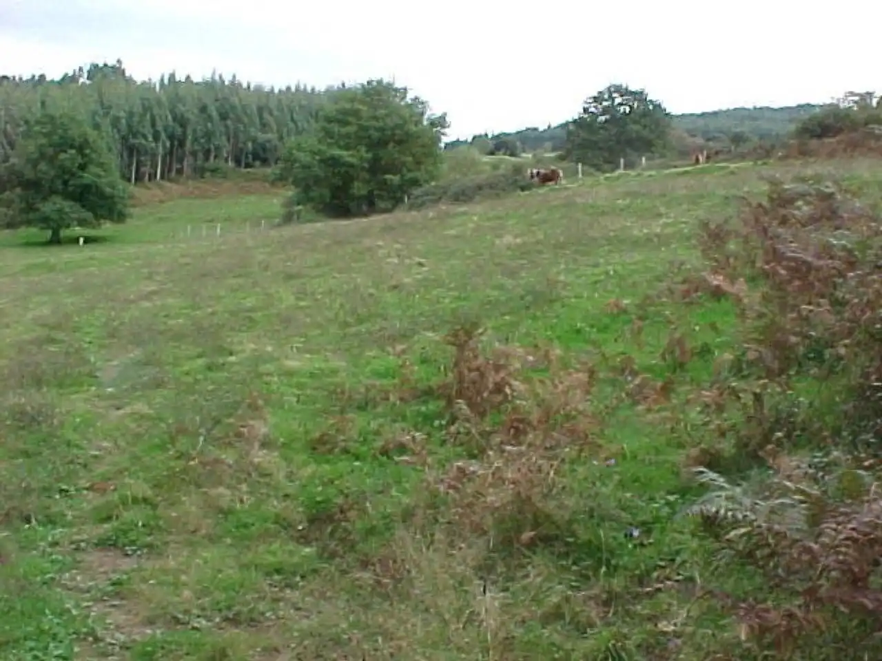 Residencial en venda en Artzentales