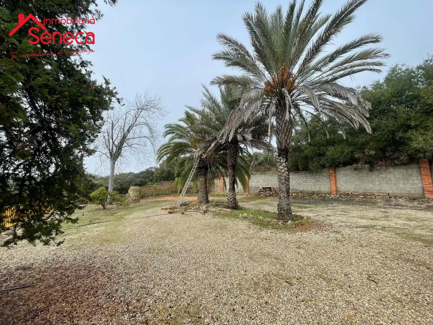Casa amb piscina en venda a HORNACHUELOS SAN CALIXTO KM 6, imagen 11