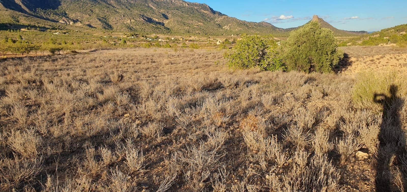 Land for sale in Ricote