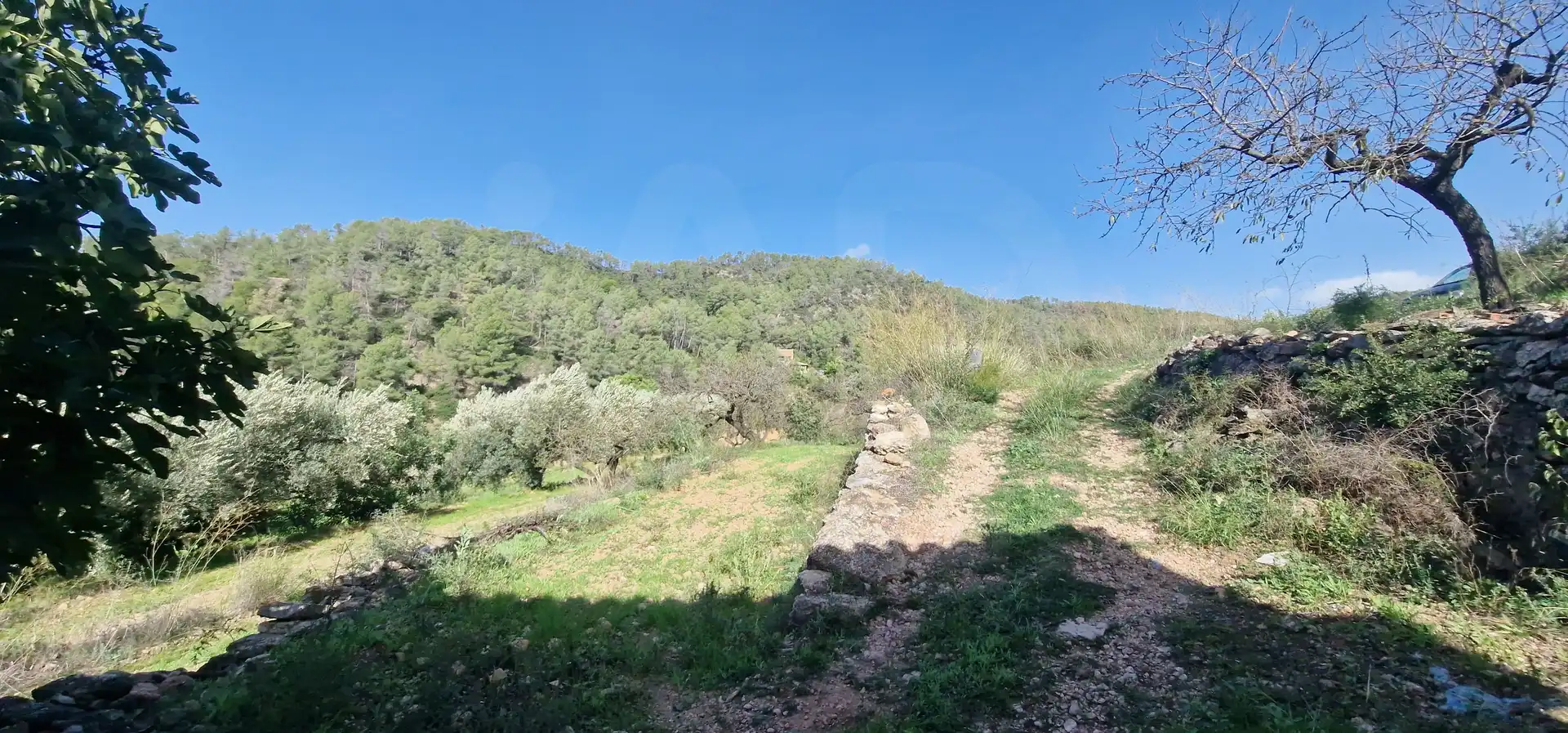 Residencial en venta en Rasquera