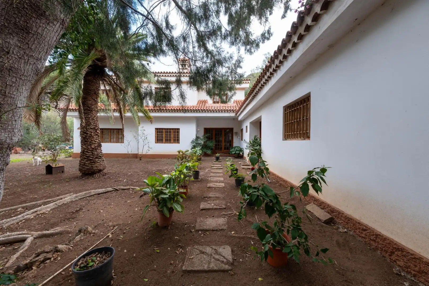 Casa o chalet en venta en Calle FUENTE MORALES, Almatriche