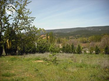 Terreno rustico in vendita a Cañamares
