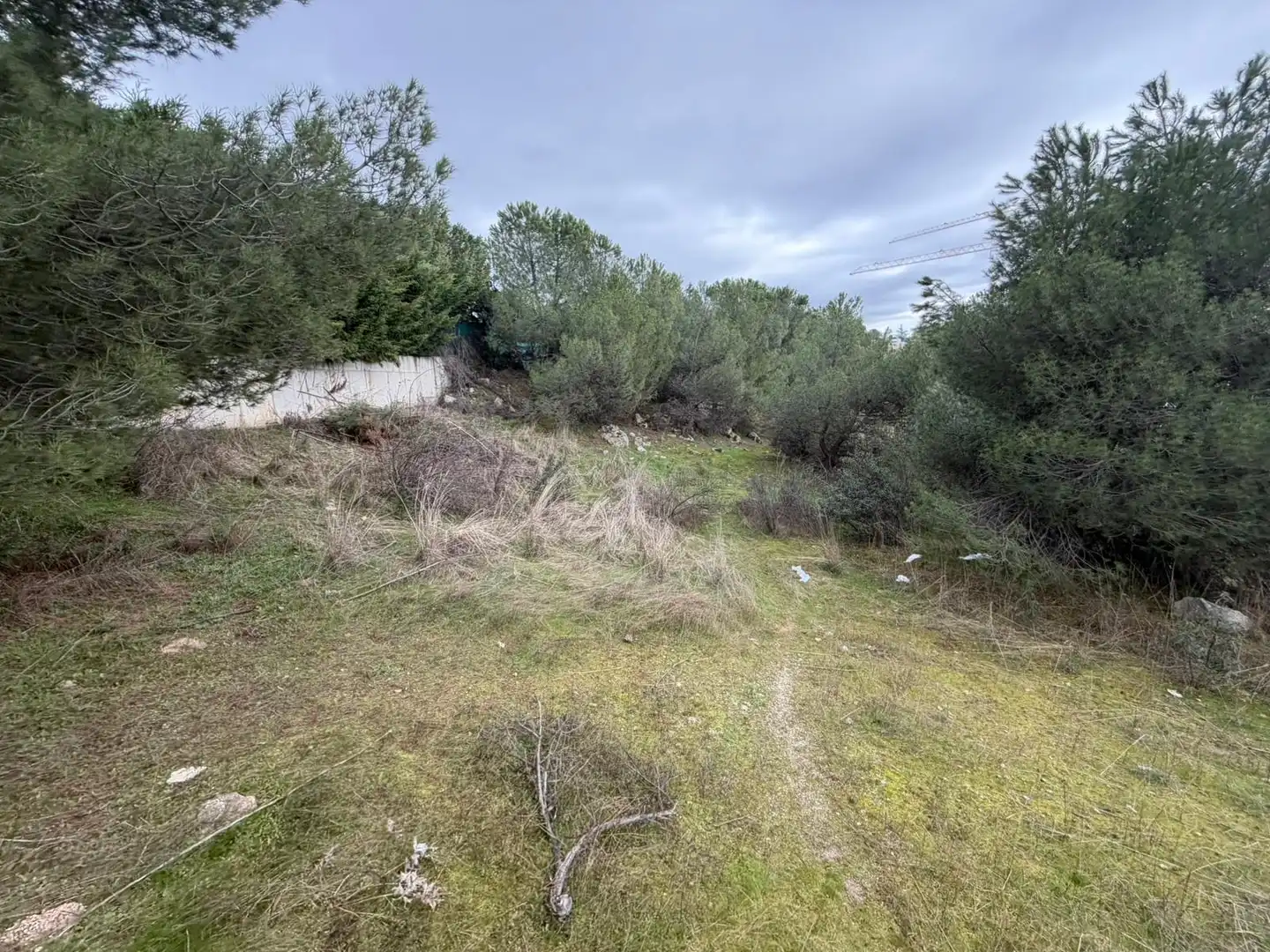 Residencial en venta en Torrelodones