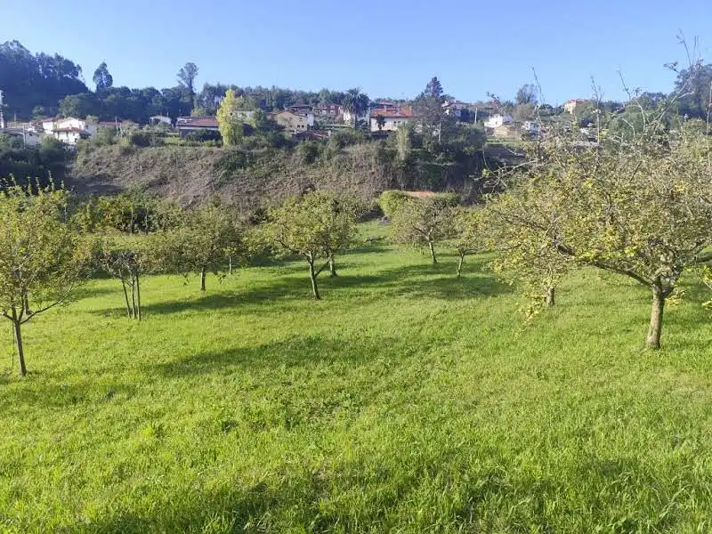 Residential for sale in Proaza, Asturias