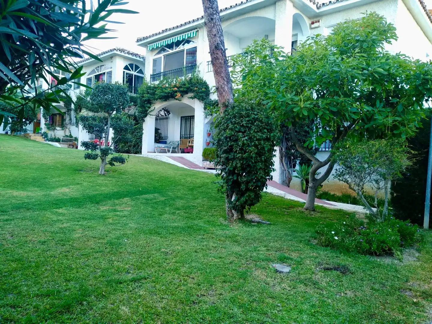 Garden of Apartments for rent in Solymar