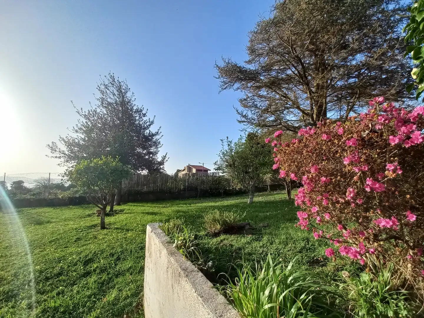 Jardí de Casa o xalet en venda en Oleiros amb Parquet, Terrassa i Traster
