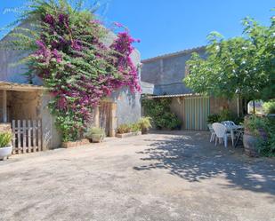 Jardí de Edifici en venda en Pals