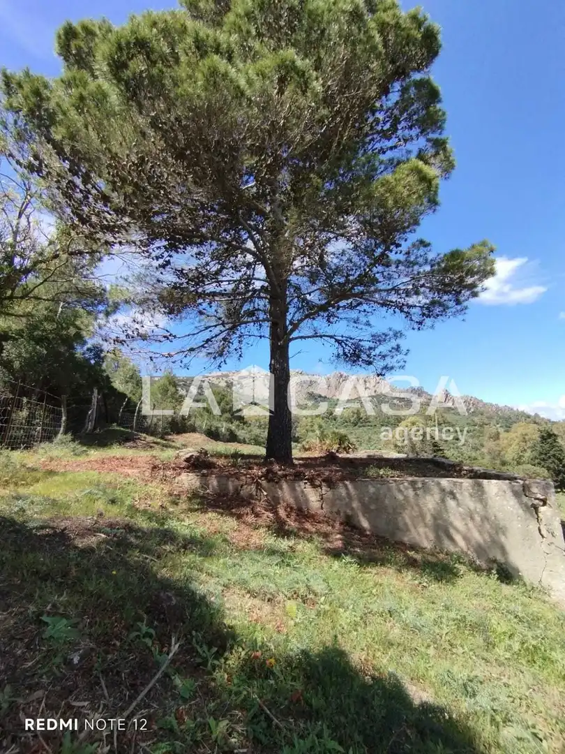 Grundstücke und Bauplätze zum Verkauf in Tarifa ciudad, imagen 4