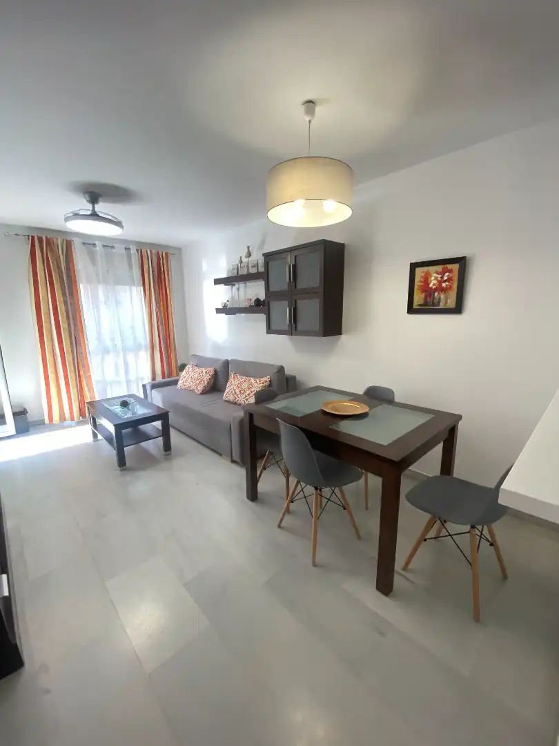 Living room of Apartments for rent in Málaga  with Air Conditioner, Terrace and Furnished