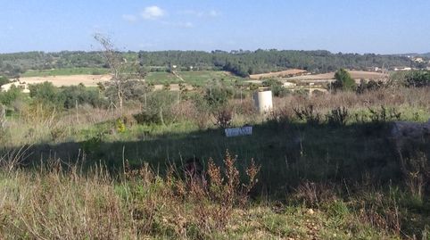 Terreno rustico una preciocidsd, imatge 3