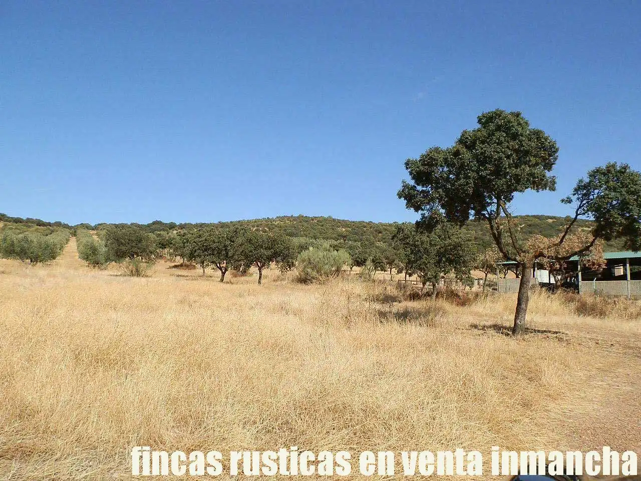 Terreny rústic en venda a Fuente el Fresno, imagen 5