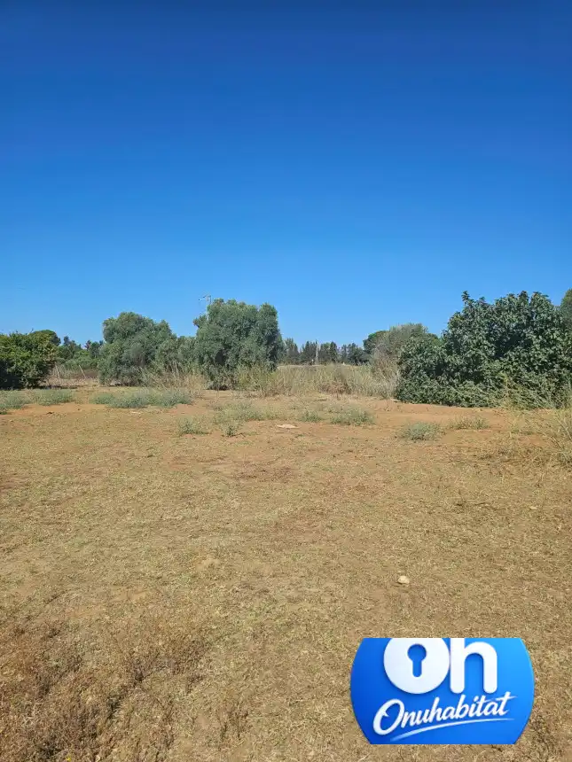 Terrenos y solares en venta en Gibraleón