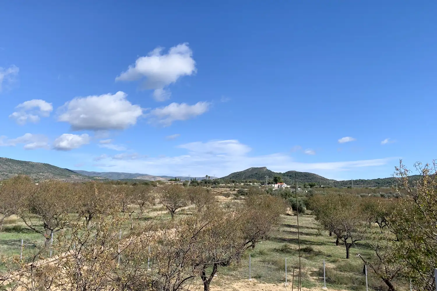 Vista exterior de Casa o chalet en venta en Villar del Arzobispo con Aire acondicionado, Calefacción y Jardín privado