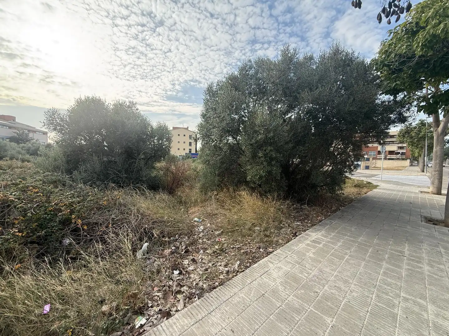 Terrain résidentiel à vendre à Carrer Josep Irla Bosch 46, imagen 5