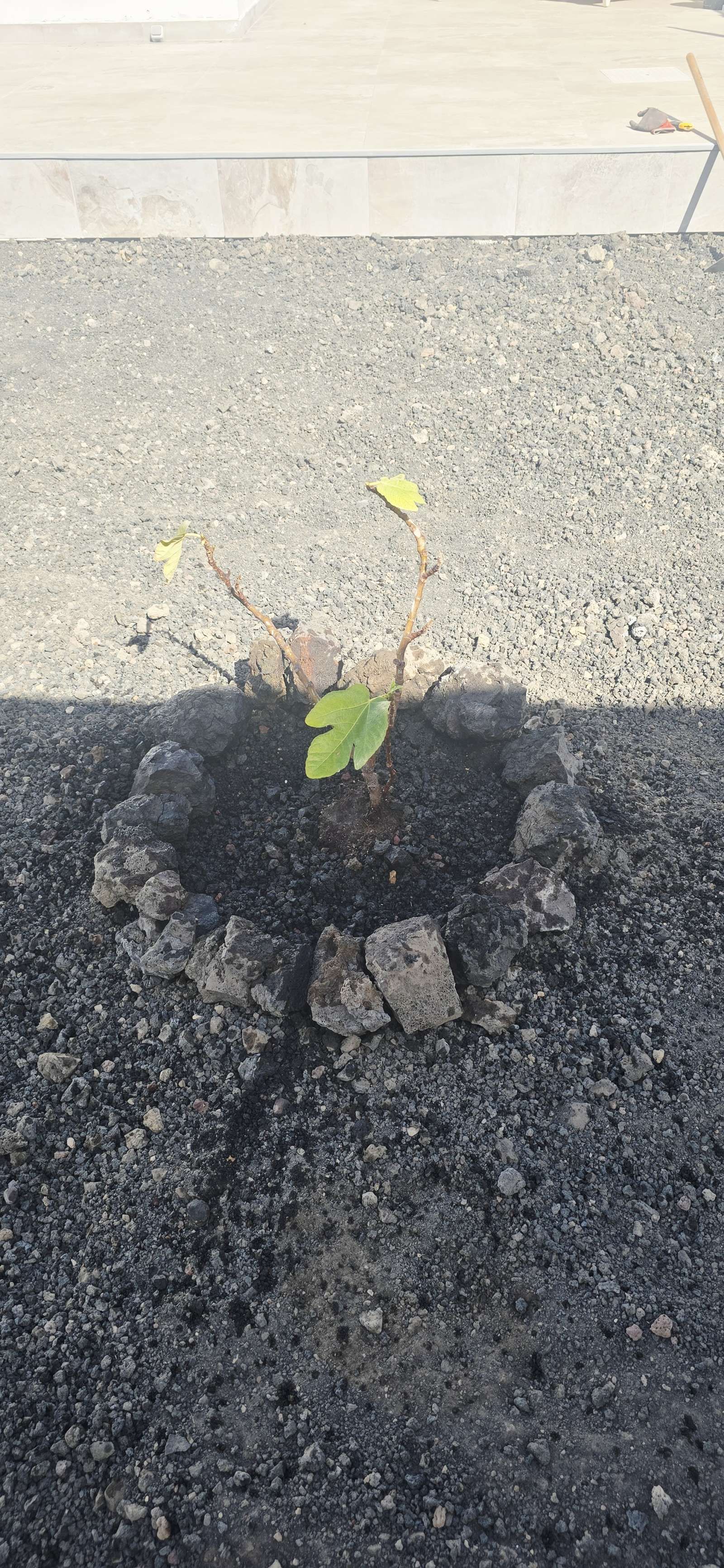 Vista exterior de Apartamento para compartir en Tuineje con Aire acondicionado, Terraza y Amueblado