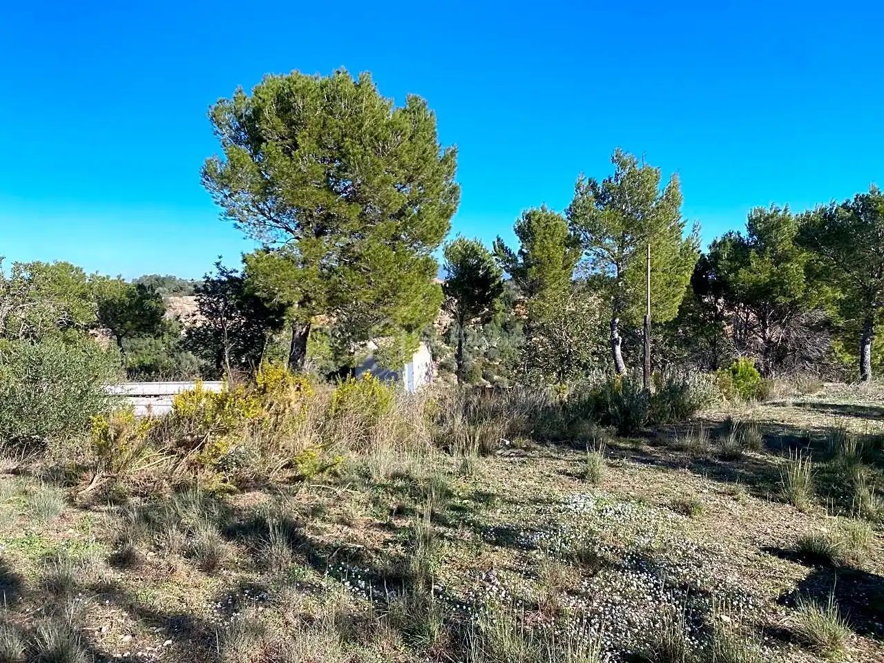 Terreno rustico in vendita a Pas de Berenguer, imagen 17