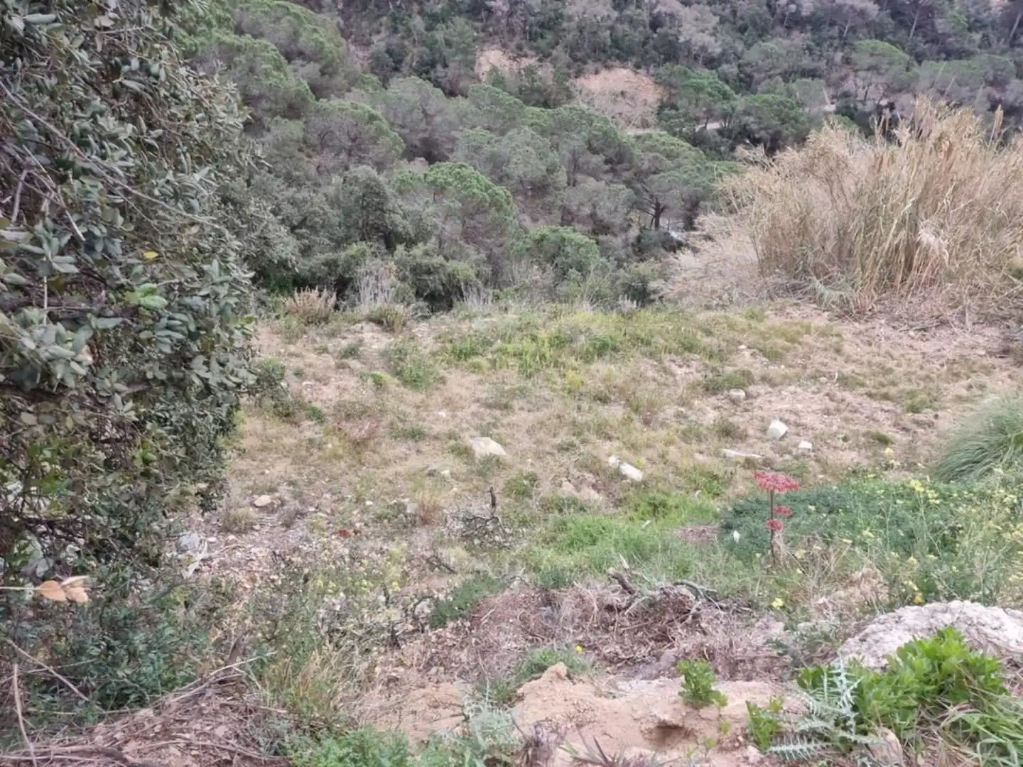 Terrenos y solares en venta en Serra Brava, imagen 31