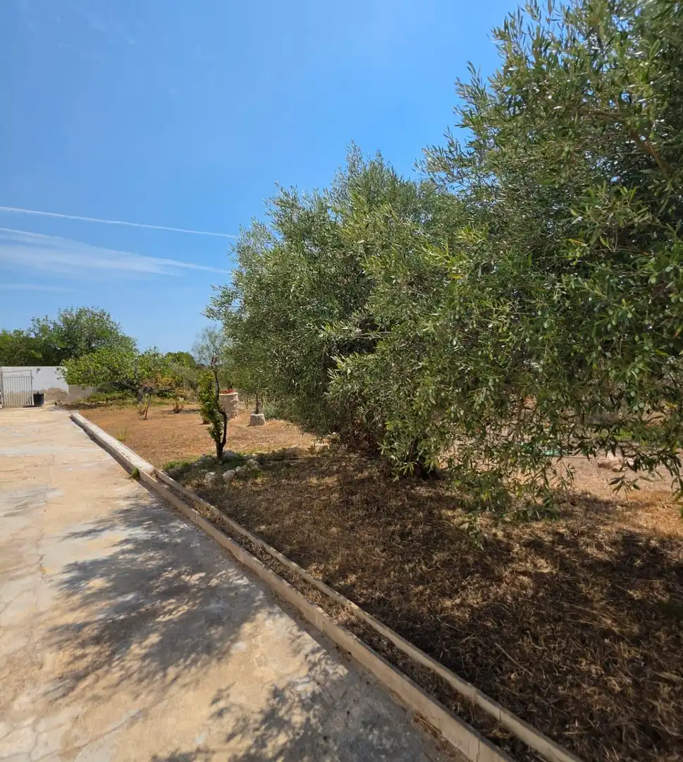 Landhaus mit Pool zum Verkauf in Vandellòs i l'Hospitalet de l'Infant, imagen 51
