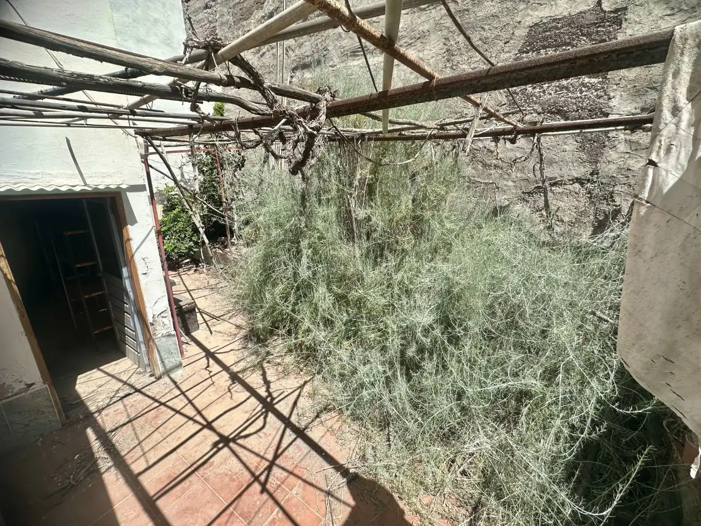 Jardí de Casa o xalet en venda en Guía de Isora amb Terrassa i Balcó