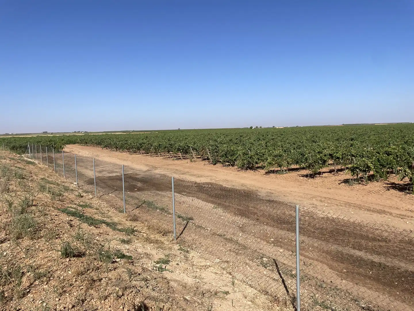 Rural land for sale in Argamasilla de Alba, imagen 7