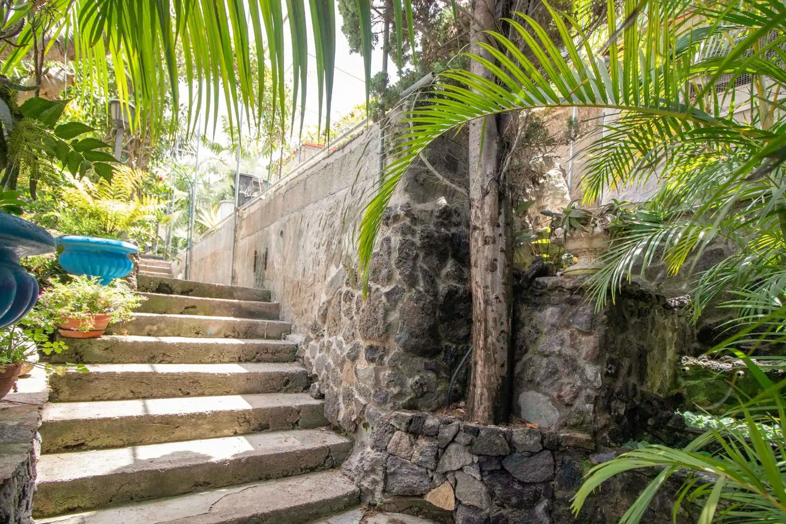 Jardí de Casa o xalet en venda en Icod de los Vinos amb Jardí privat, Terrassa i Traster