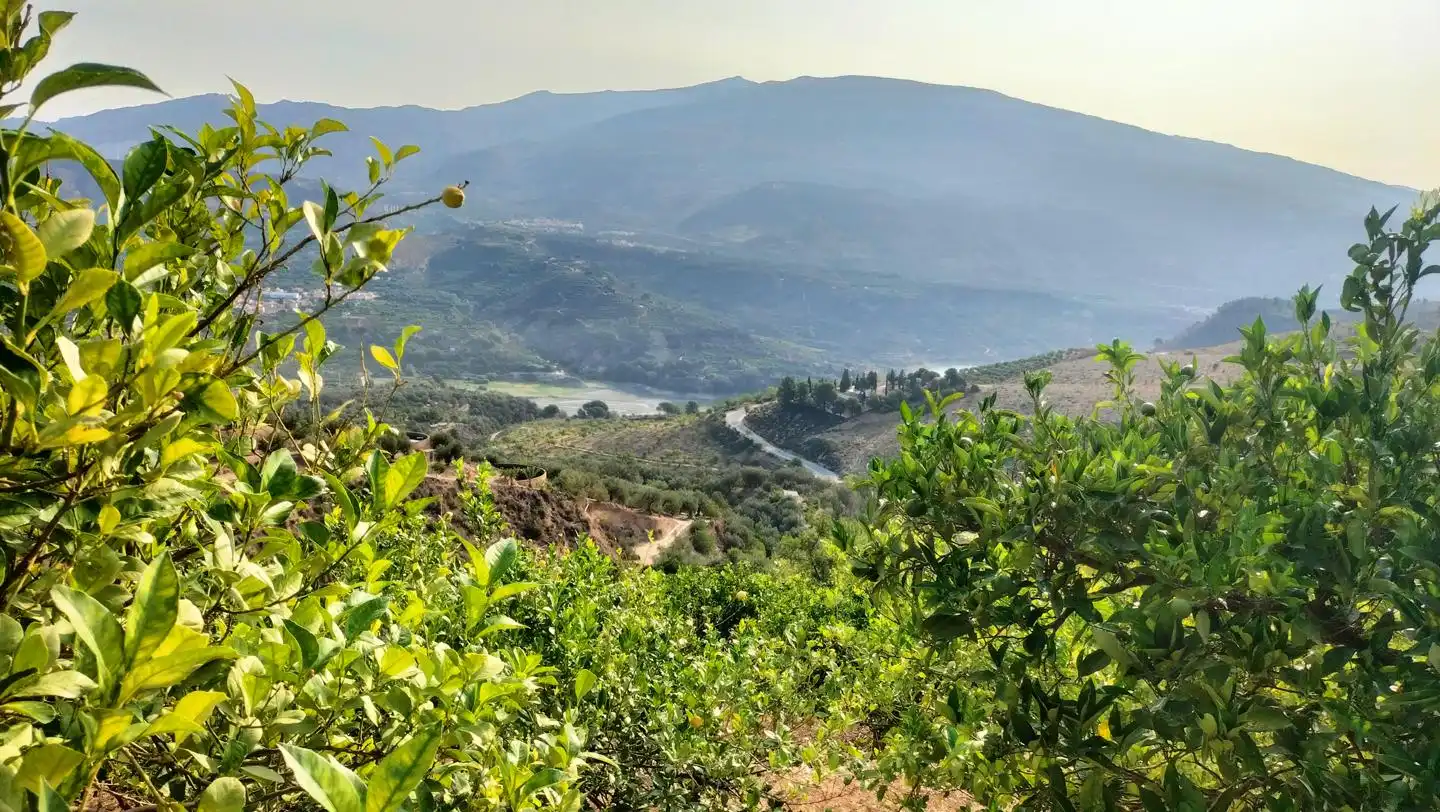 Casa rustica in vendita a El Valle