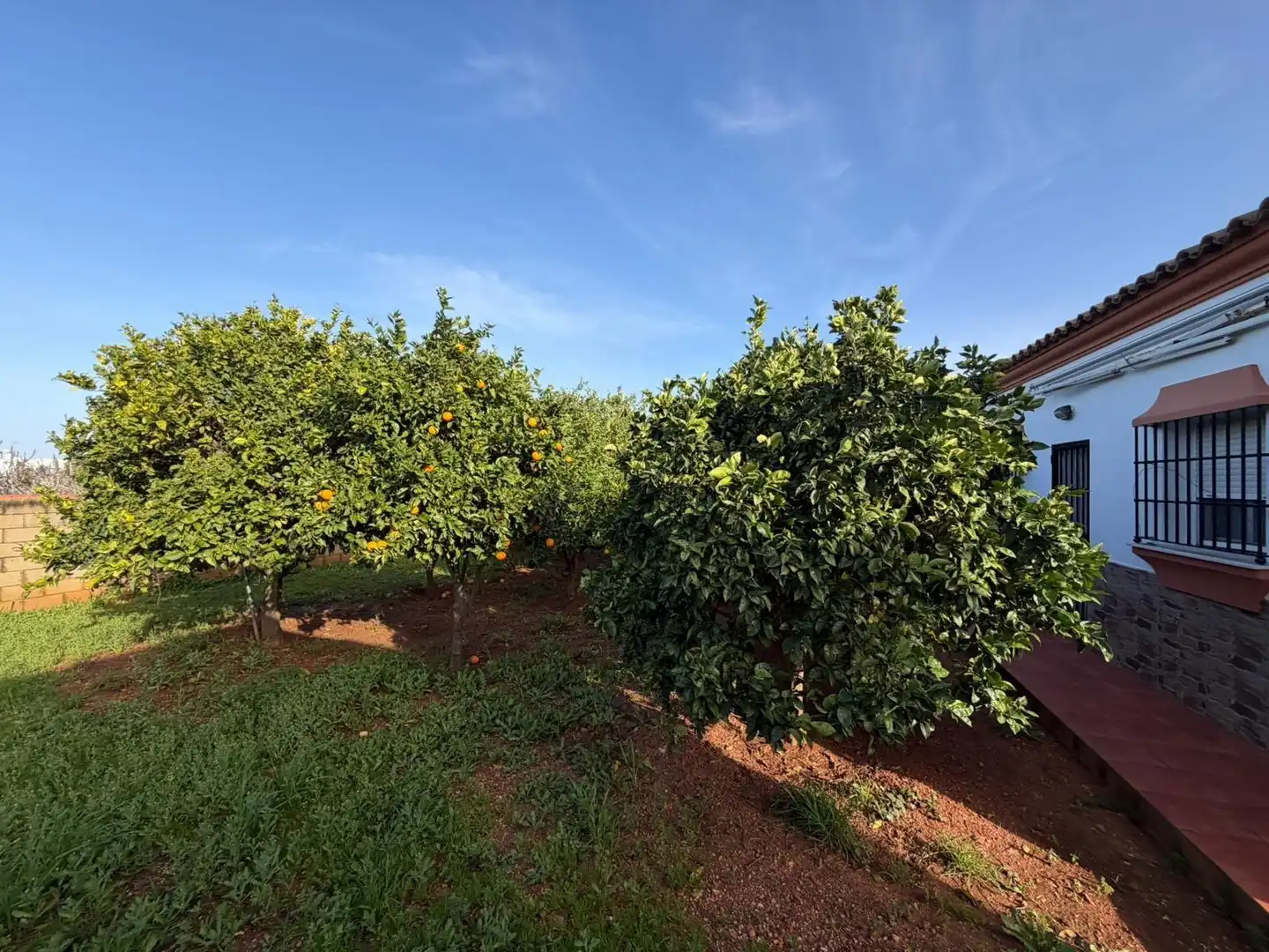 Casa o chalet en venta en Chiclana de la Frontera con Jardín privado, Terraza y Trastero